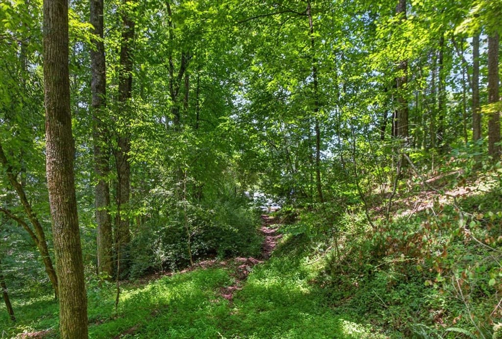 1965 E Highway 52, Ellijay GA 30536 - Photo