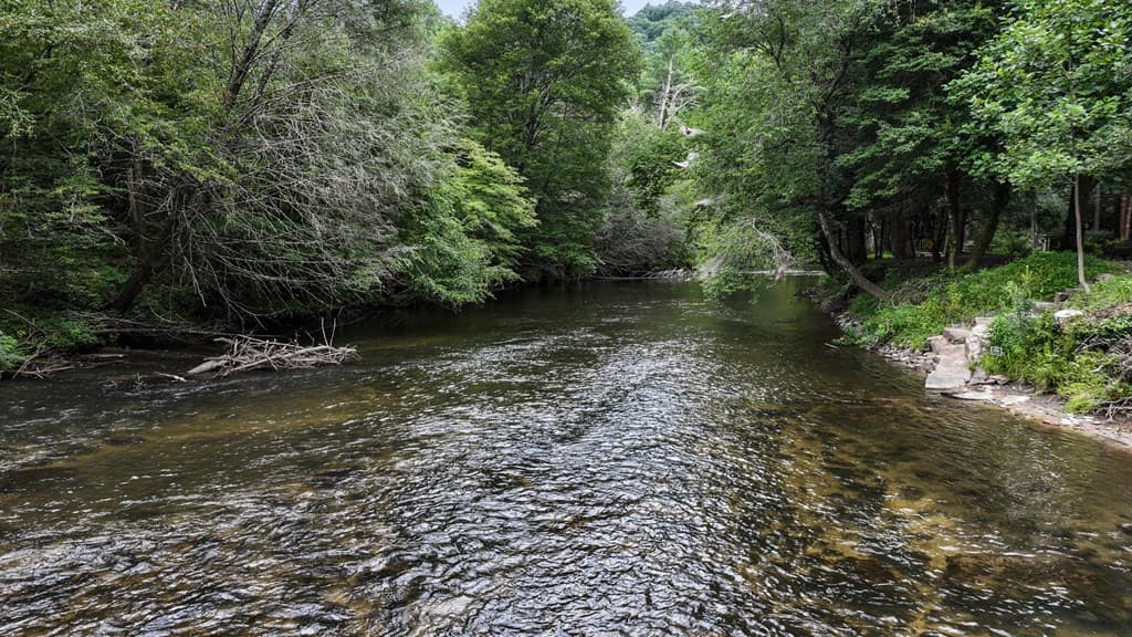 167 Halls Hidden Cove, Suches GA 30572 - Photo