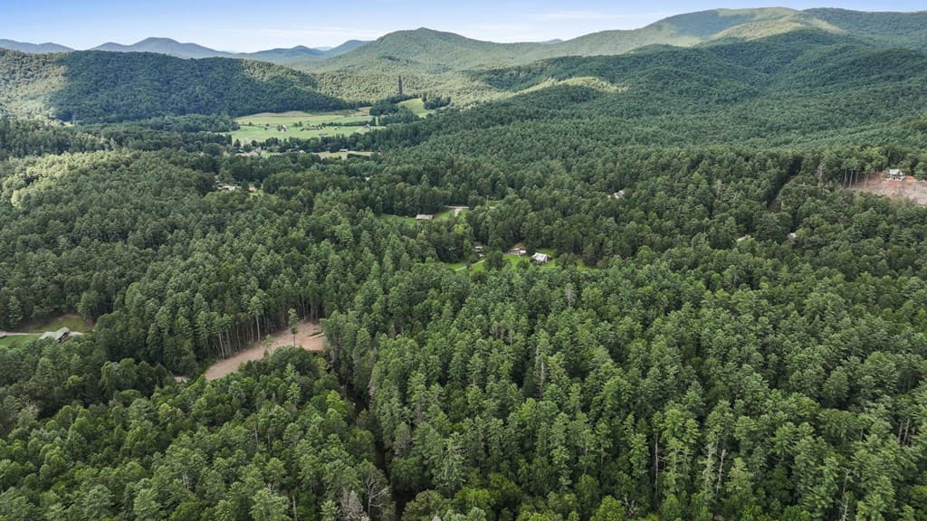 167 Halls Hidden Cove, Suches GA 30572 - Photo