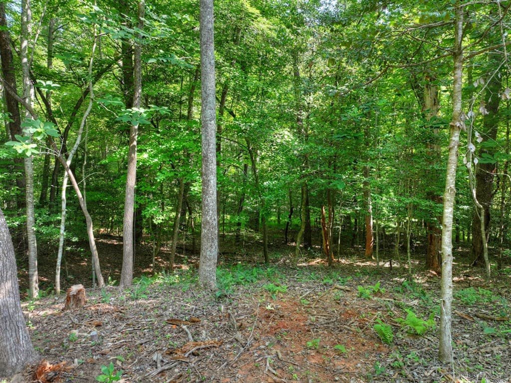 2.64 acr Grace Drive, Blue Ridge GA 30513 - Photo