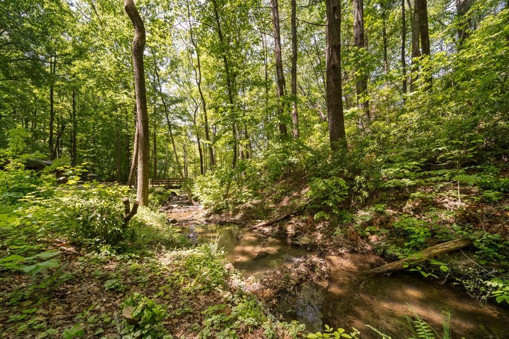469 North Lake Drive, Ellijay GA 30536 - Photo