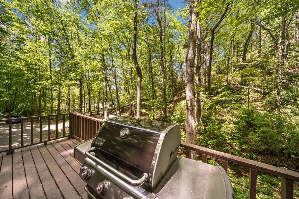 469 North Lake Drive, Ellijay GA 30536 - Photo