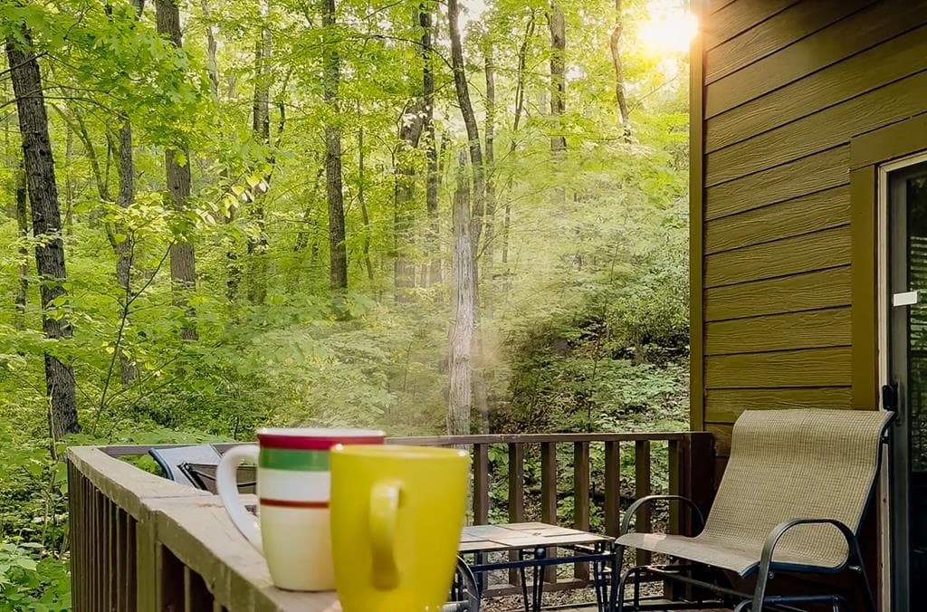 469 North Lake Drive, Ellijay GA 30536 - Photo