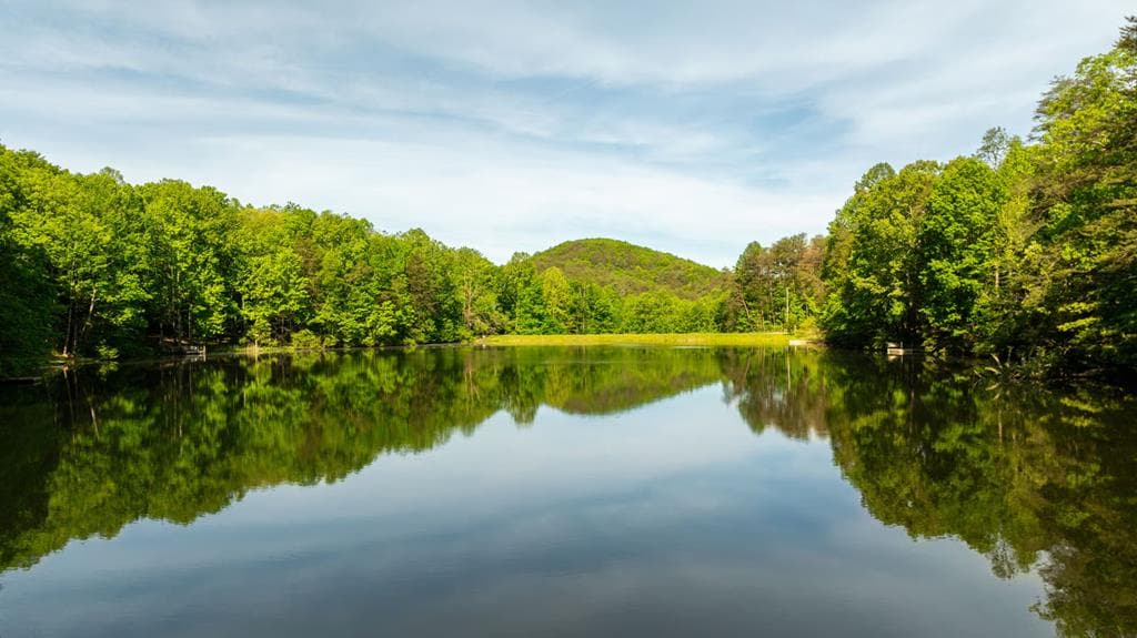469 North Lake Drive, Ellijay GA 30536 - Photo