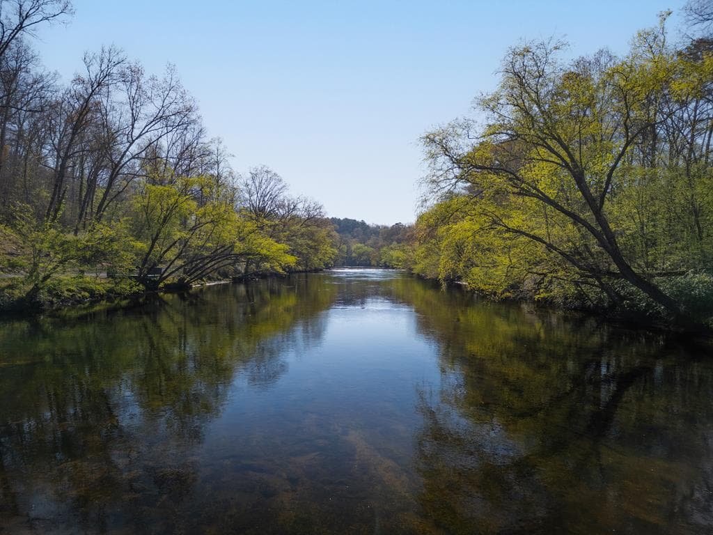207 Arrow Way, Mineral Bluff GA 30559 - Photo