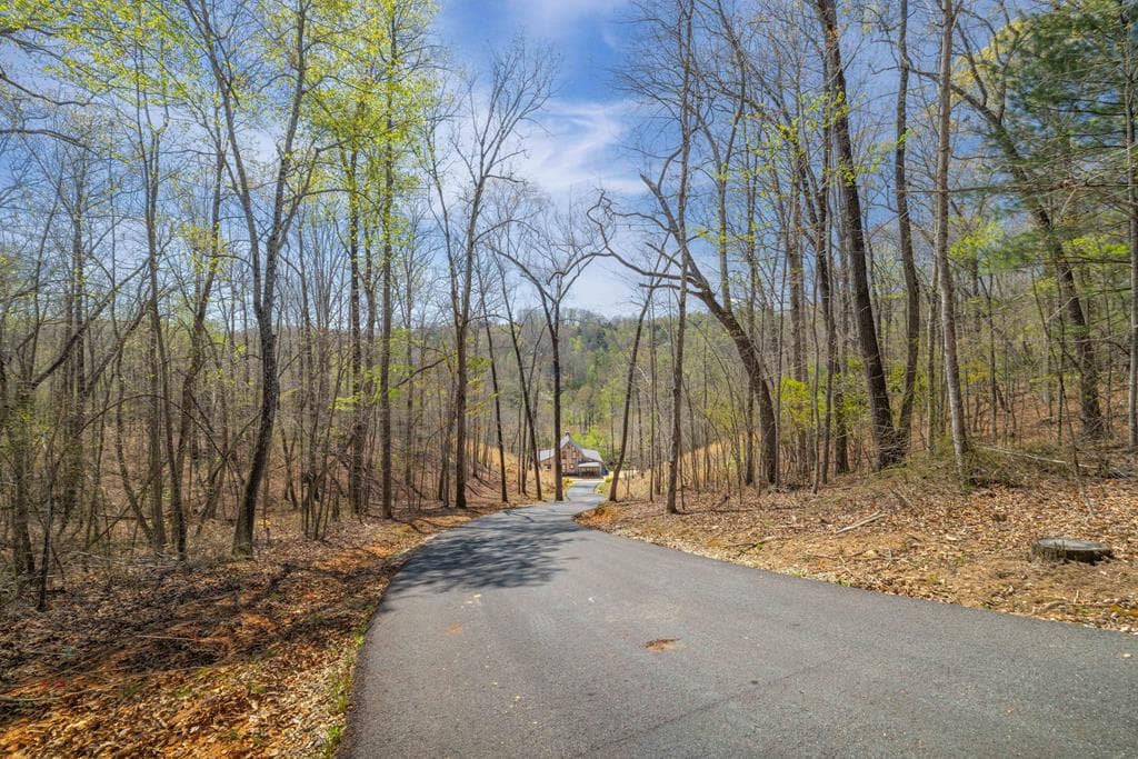 207 Arrow Way, Mineral Bluff GA 30559 - Photo