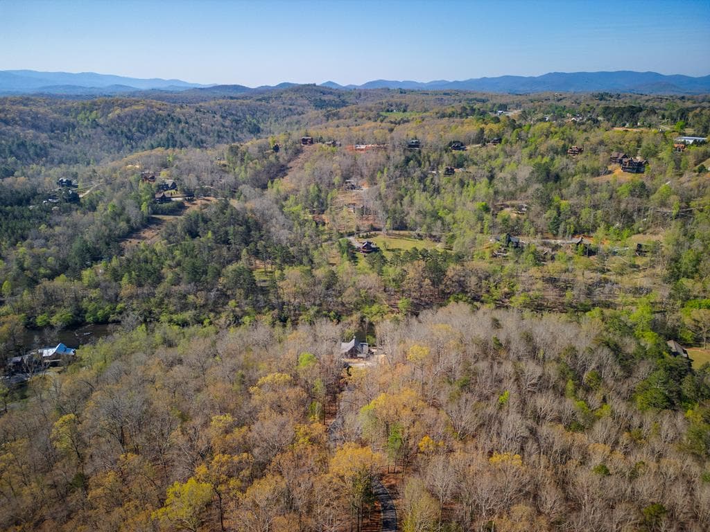207 Arrow Way, Mineral Bluff GA 30559 - Photo