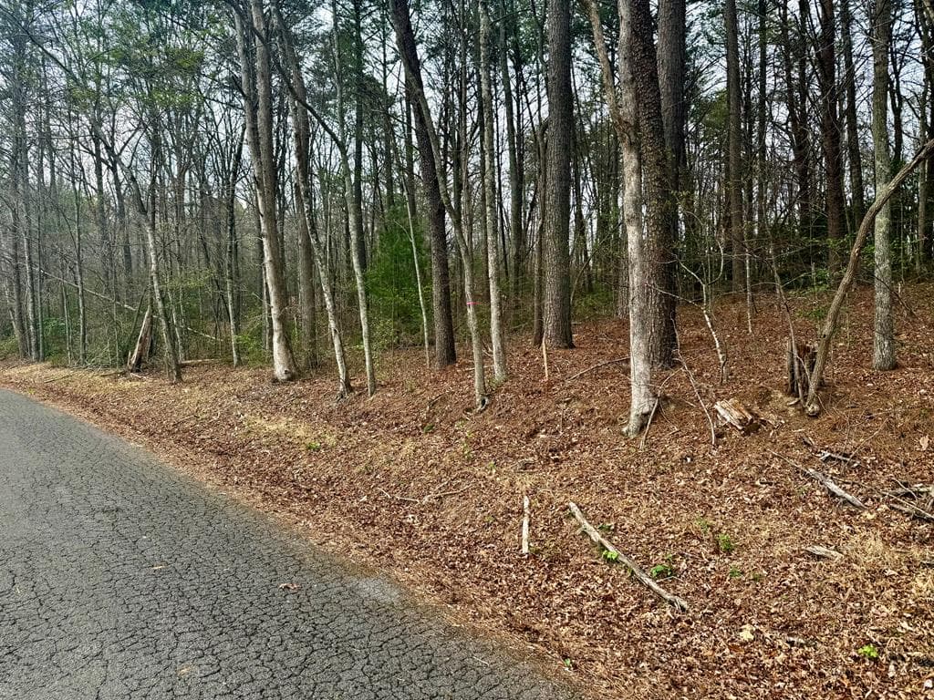 0 Hwy 68, Turtletown TN 37391 - Primary photo