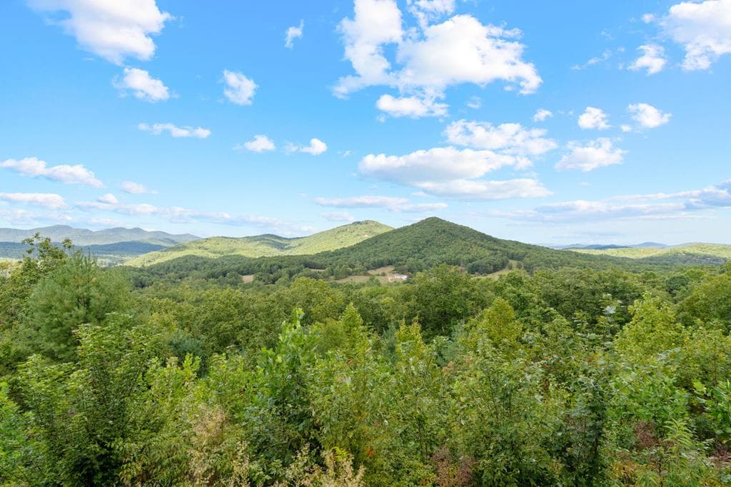 890 Hickory Drive, Mineral Bluff GA 30559 - Photo
