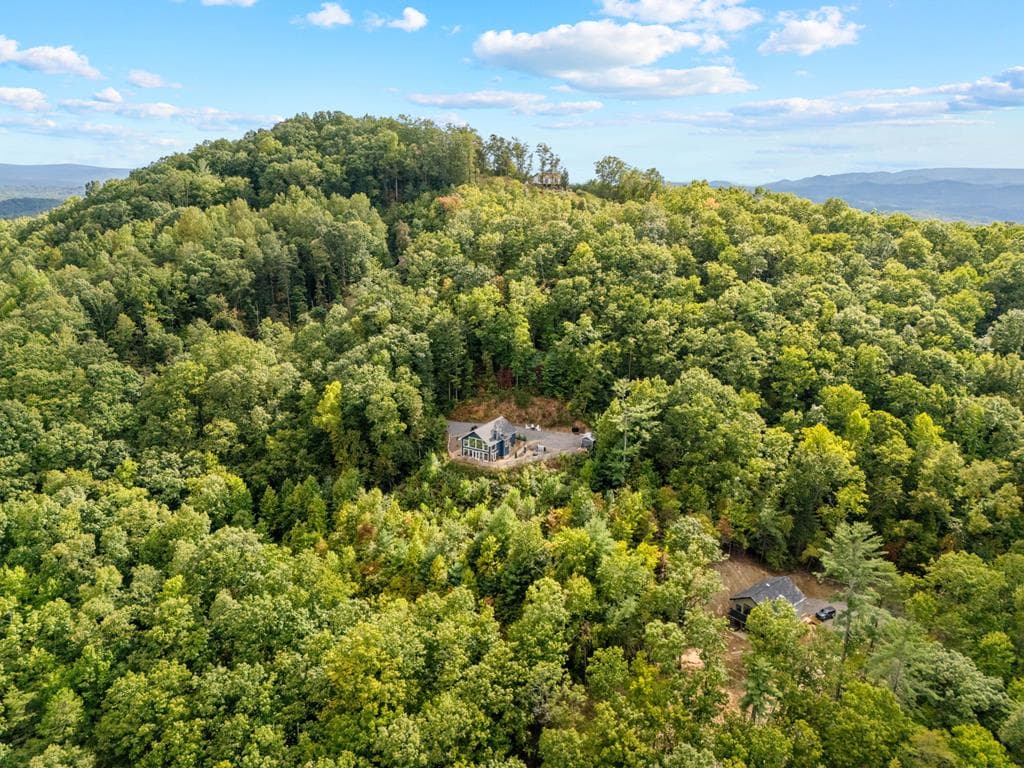 890 Hickory Drive, Mineral Bluff GA 30559 - Photo