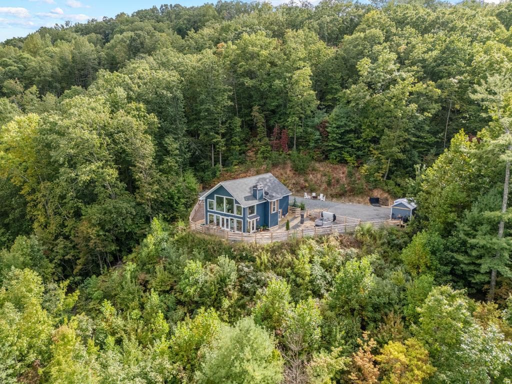 890 Hickory Drive, Mineral Bluff GA 30559 - Photo