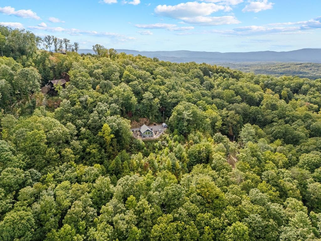 890 Hickory Drive, Mineral Bluff GA 30559 - Photo