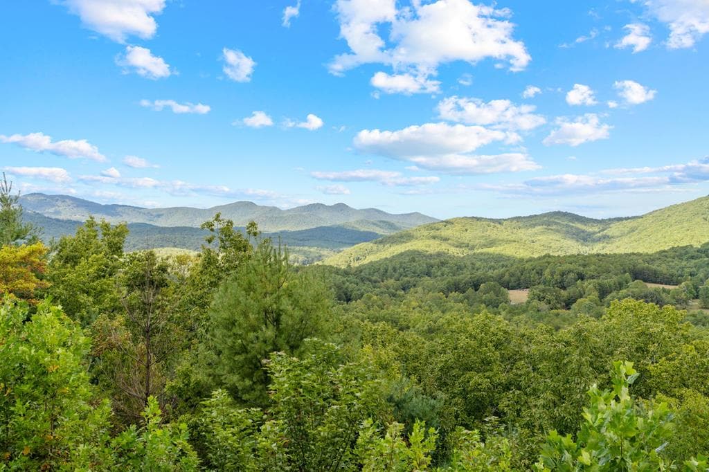 890 Hickory Drive, Mineral Bluff GA 30559 - Photo