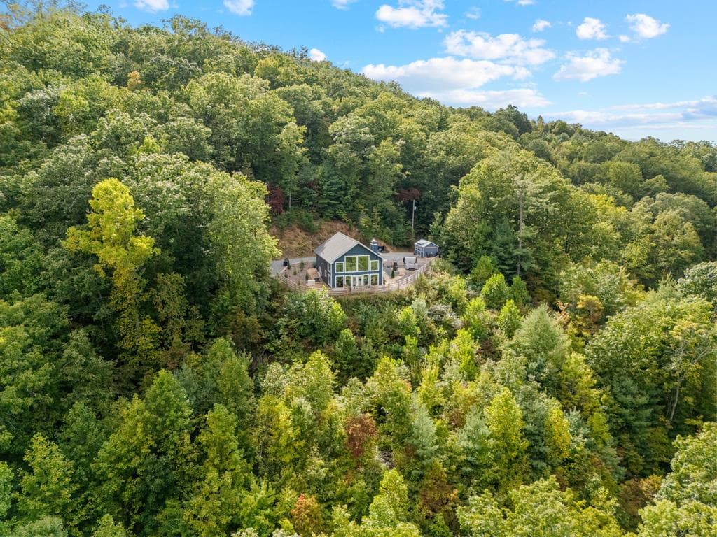 890 Hickory Drive, Mineral Bluff GA 30559 - Photo