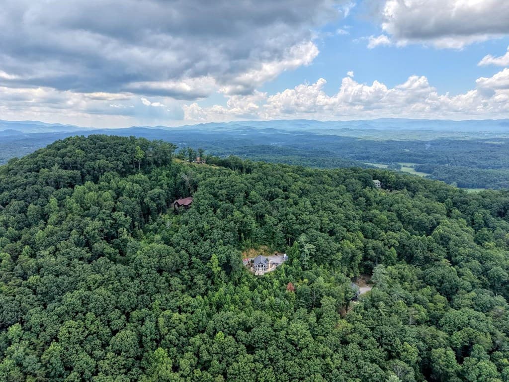 890 Hickory Drive, Mineral Bluff GA 30559 - Photo