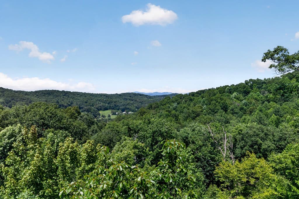 573 Weaver Creek Way, Blue Ridge GA 30513 - Photo