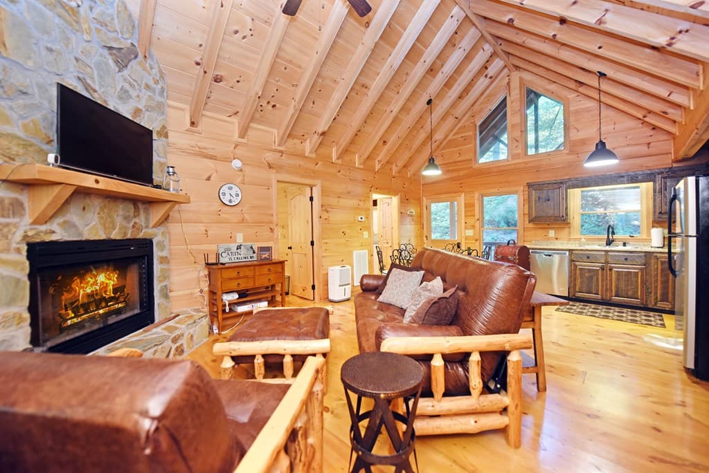 260 Jason Martin Circle, Blue Ridge GA 30513 - Photo