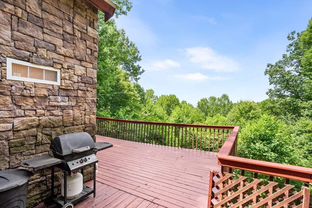221 Wilson Lane, Blairsville GA 30512 - Photo