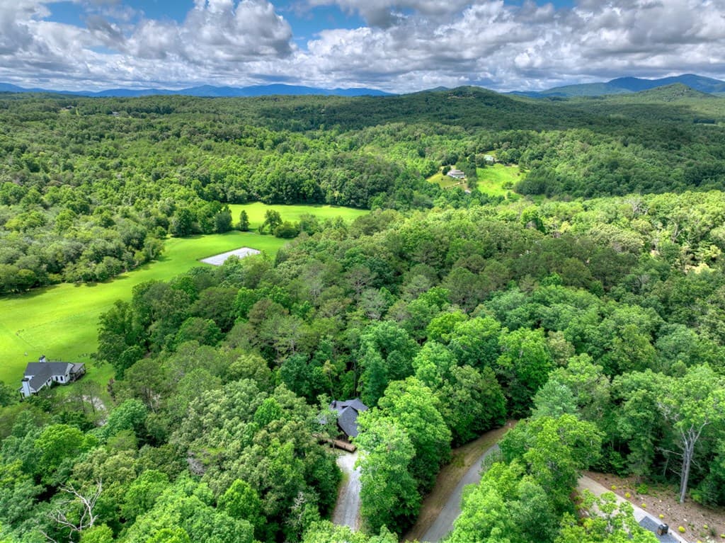 200 Forest View Lane, Mineral Bluff GA 30559 - Photo