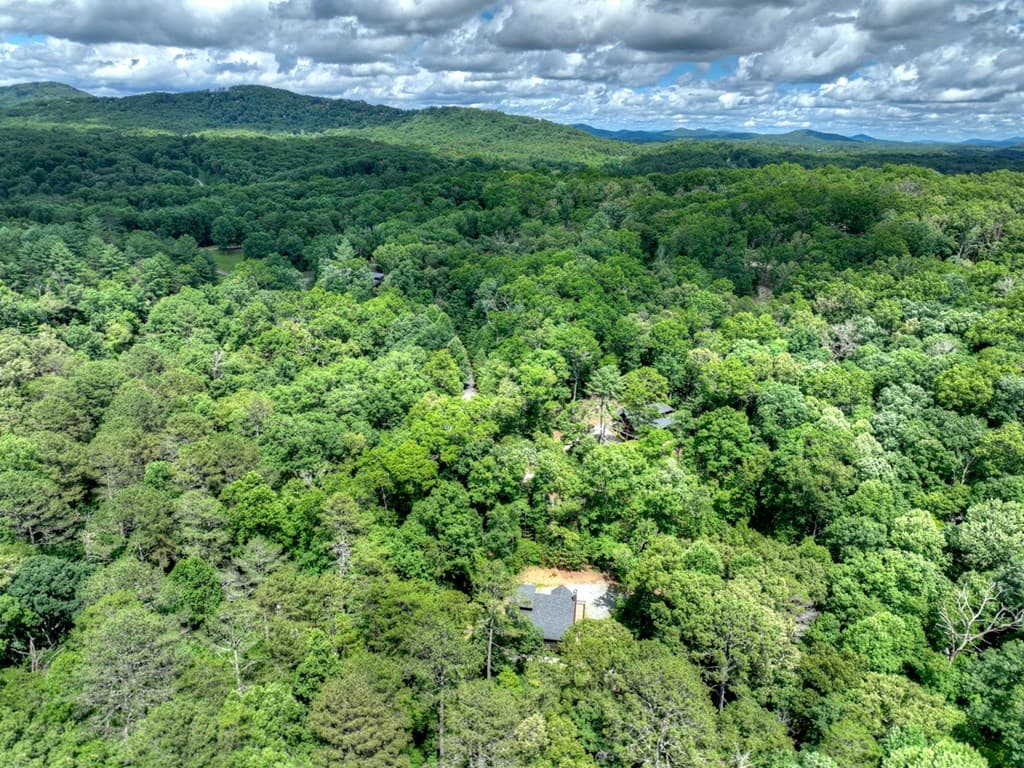 200 Forest View Lane, Mineral Bluff GA 30559 - Photo