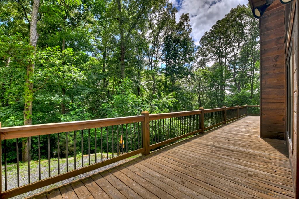 200 Forest View Lane, Mineral Bluff GA 30559 - Photo