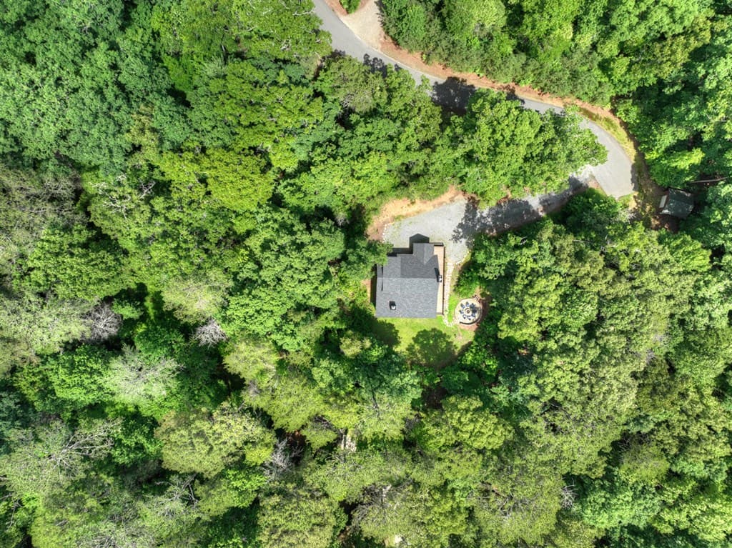 200 Forest View Lane, Mineral Bluff GA 30559 - Photo