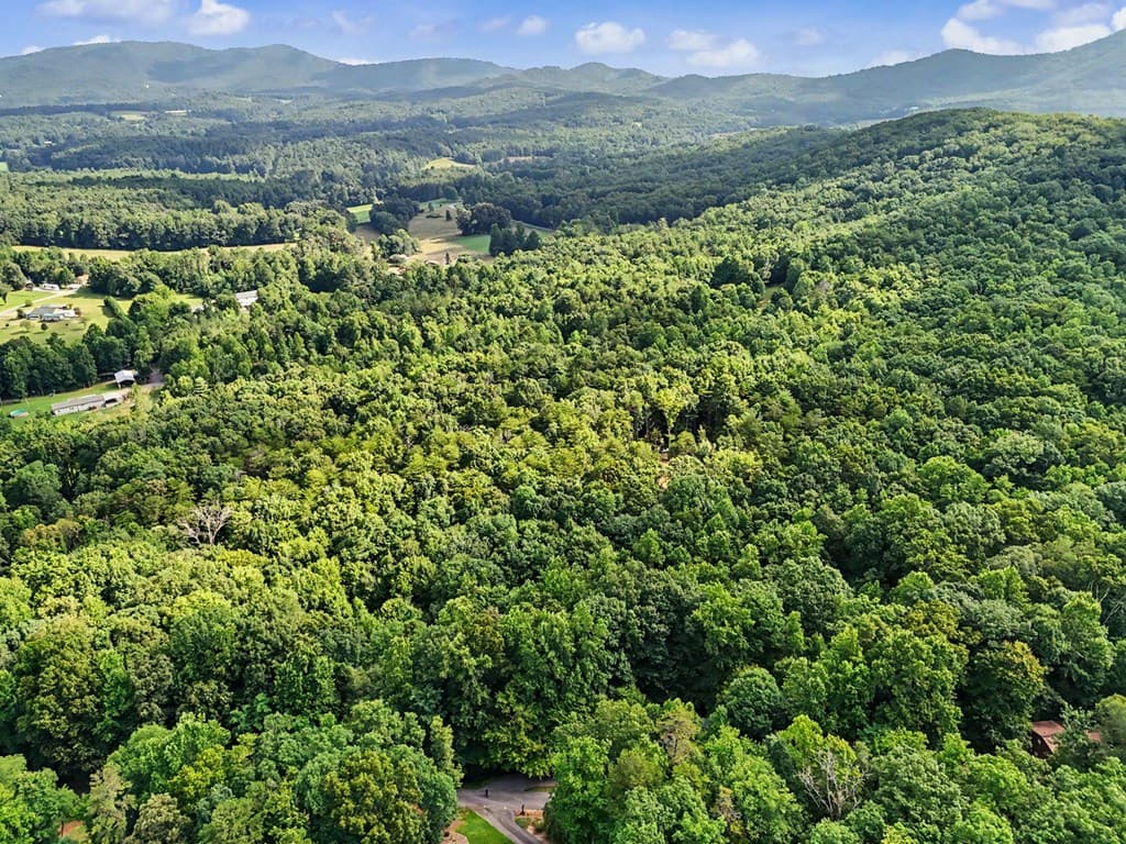 1411 Bradley Road, Blairsville GA 30512 - Photo