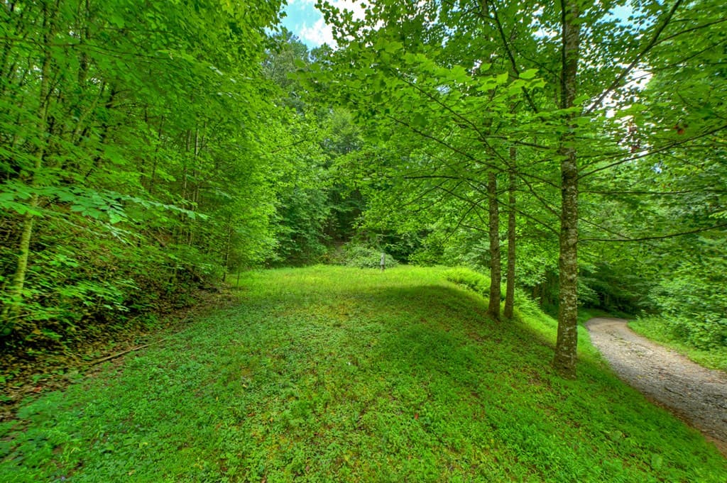 600 Conasauga Road, Ellijay GA 30540 - Photo