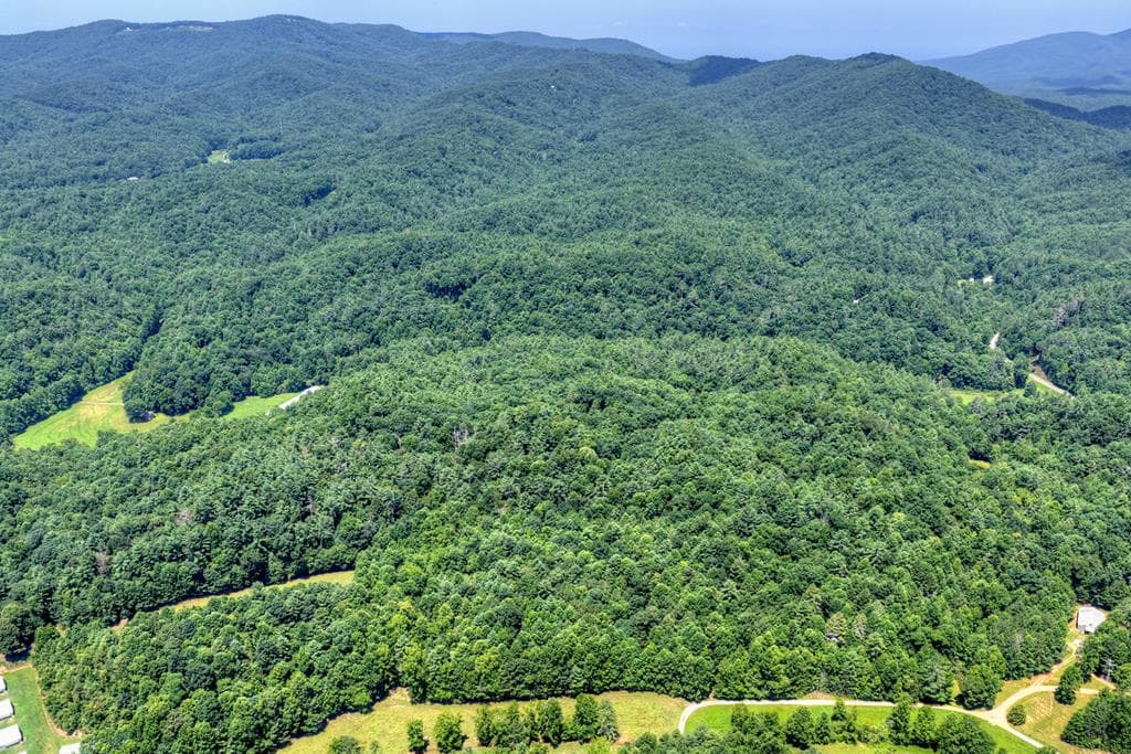 600 Conasauga Road, Ellijay GA 30540 - Photo