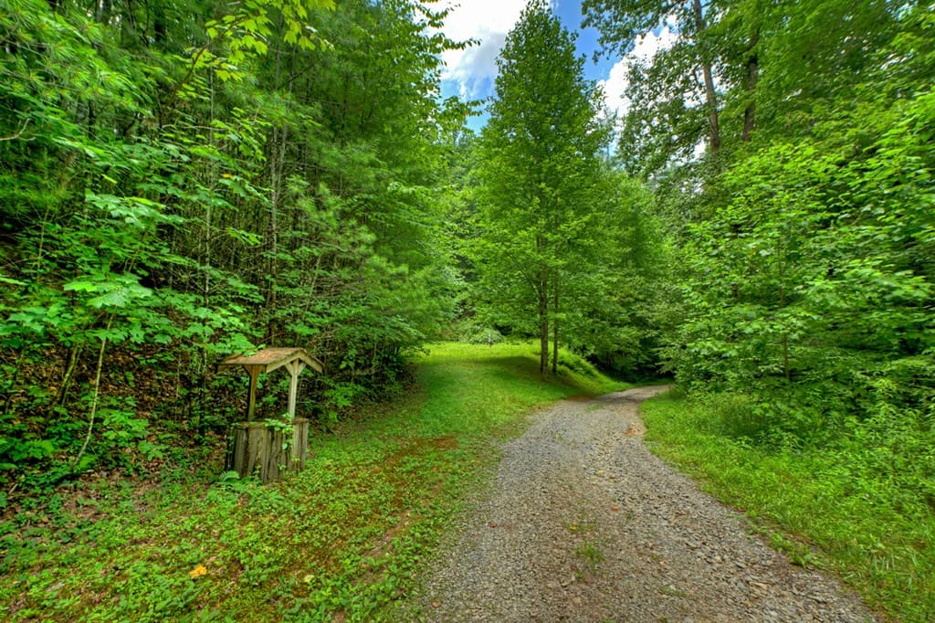 600 Conasauga Road, Ellijay GA 30540 - Photo
