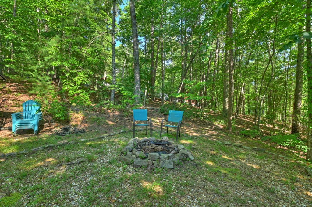 118 Tilley Bend Trail, Blue Ridge GA 30513 - Photo