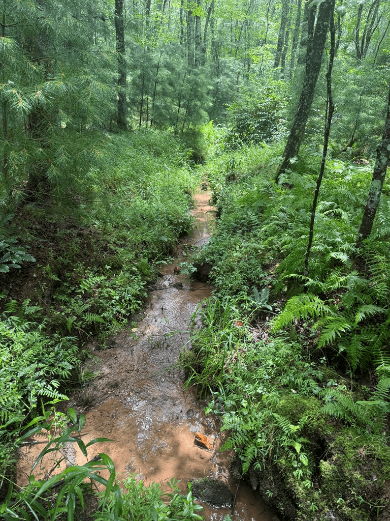 TBD Pinelog Church Road, Brasstown NC 28902 - Photo