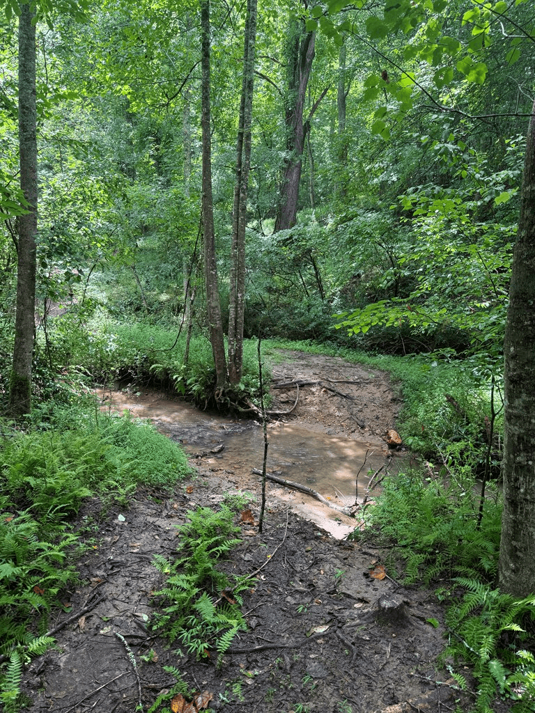 TBD Pinelog Church Road, Brasstown NC 28902 - Photo