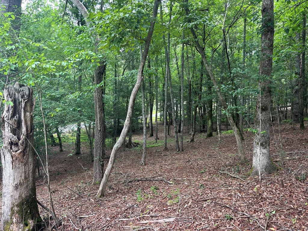 Lt 14 Fiddlers Cove, Blairsville GA 30512 - Photo