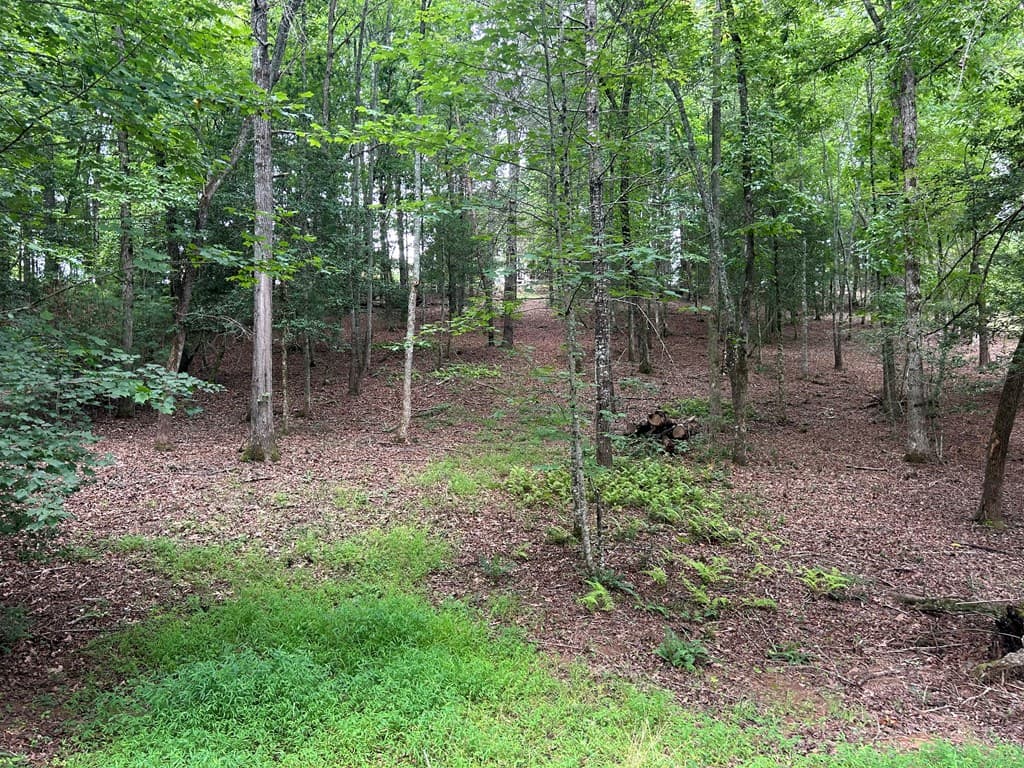Lt 14 Fiddlers Cove, Blairsville GA 30512 - Photo