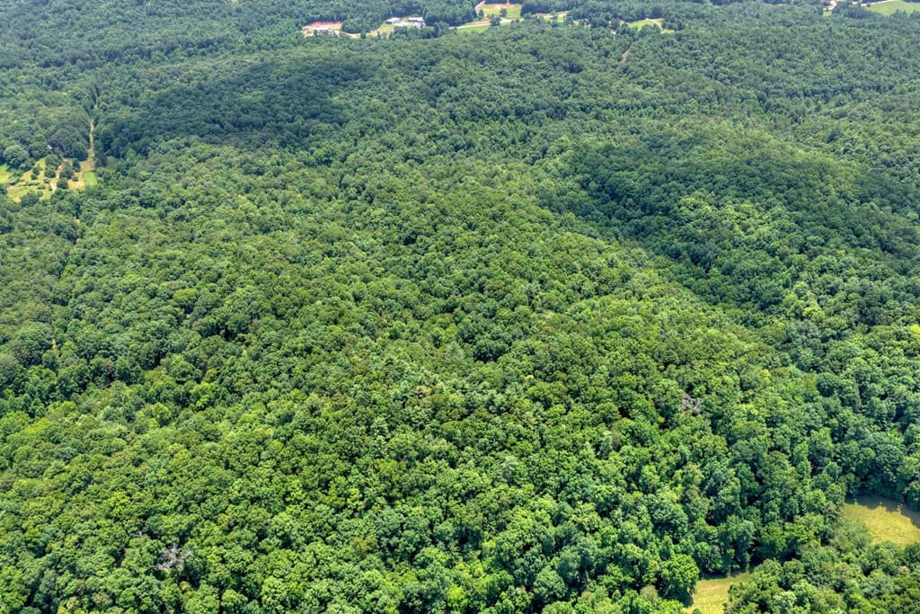 00 Scots Glen Road, Mineral Bluff GA 30559 - Photo