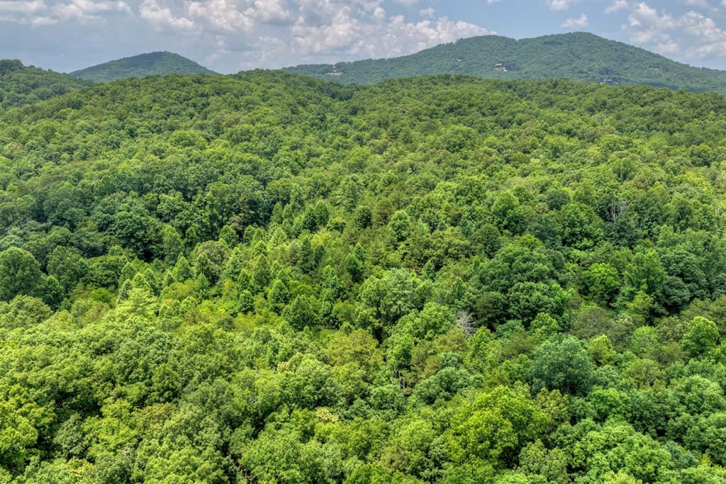 00 Scots Glen Road, Mineral Bluff GA 30559 - Photo
