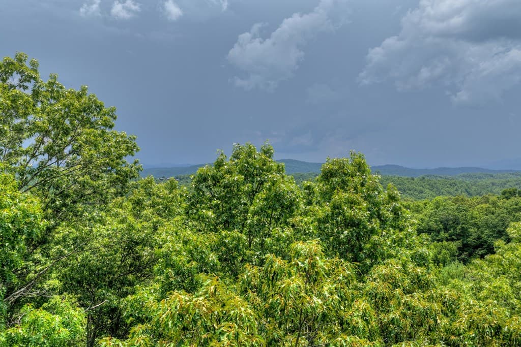 00 Scots Glen Road, Mineral Bluff GA 30559 - Photo
