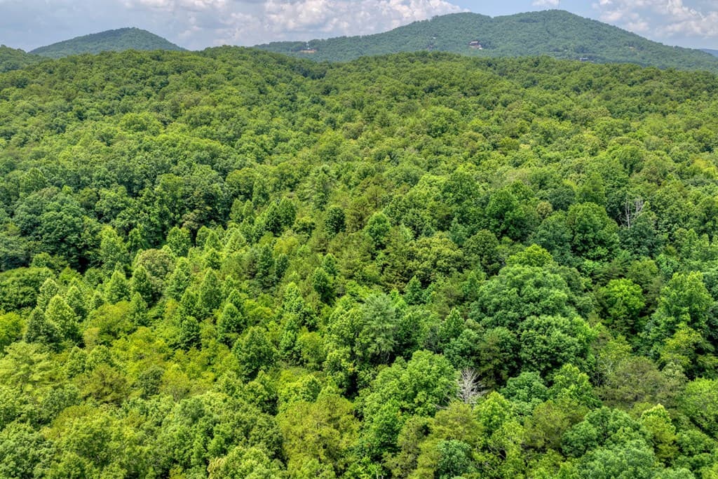00 Scots Glen Road, Mineral Bluff GA 30559 - Photo