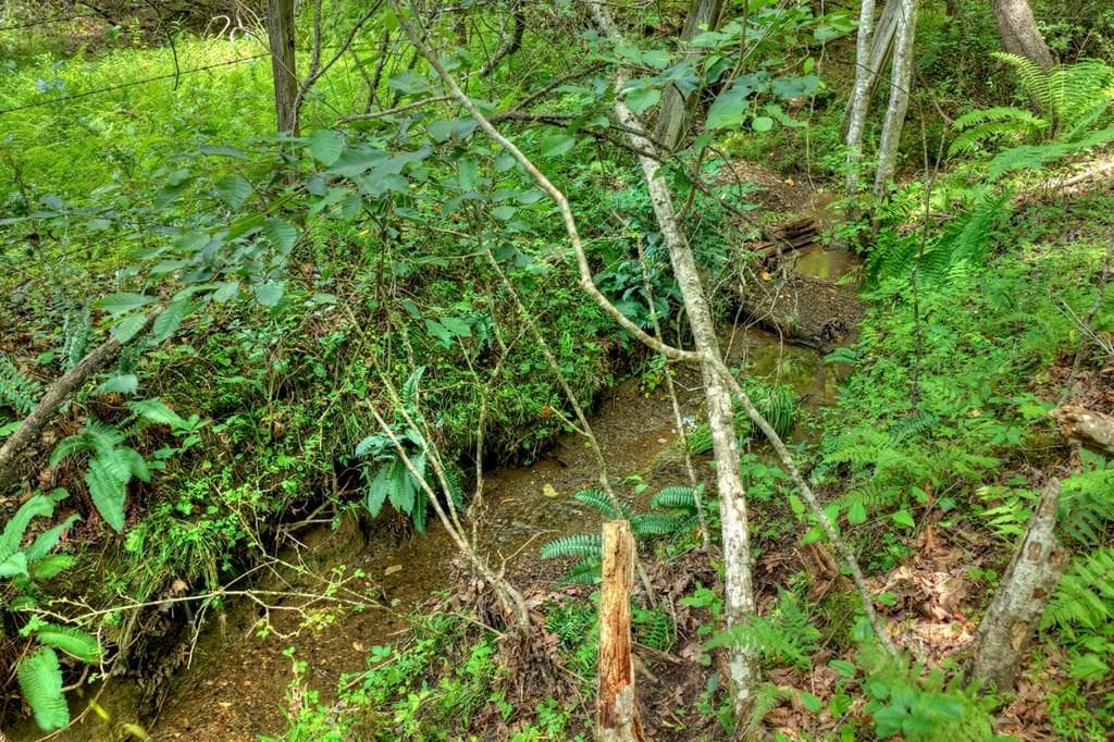 00 Scots Glen Road, Mineral Bluff GA 30559 - Photo