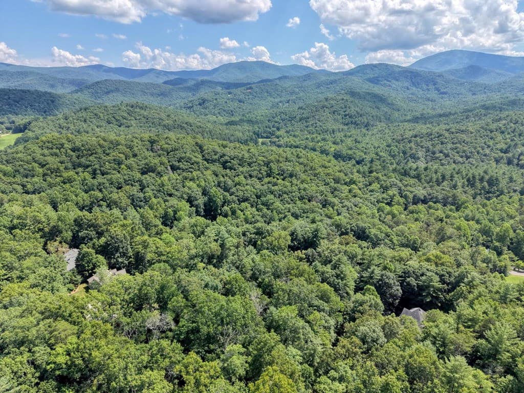 16 Souther Ridge Conn, Blairsville GA 30512 - Photo
