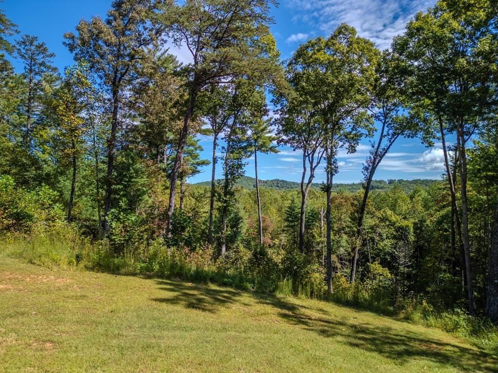 179 Cessna Loop, Blue Ridge GA 30513 - Photo