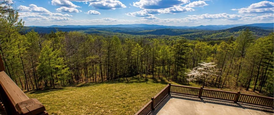 486 Henderson Lane, Mineral Bluff GA 30559 - Photo