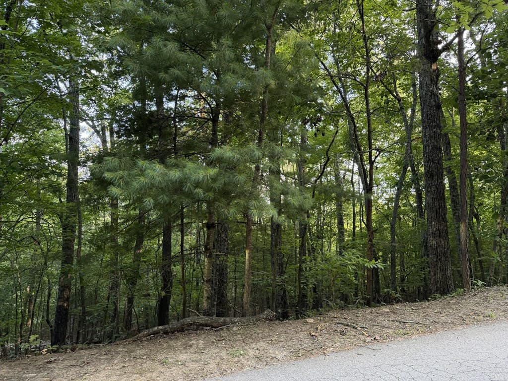 Lot 46 Fox Run Drive, Blue Ridge GA 30513 - Photo
