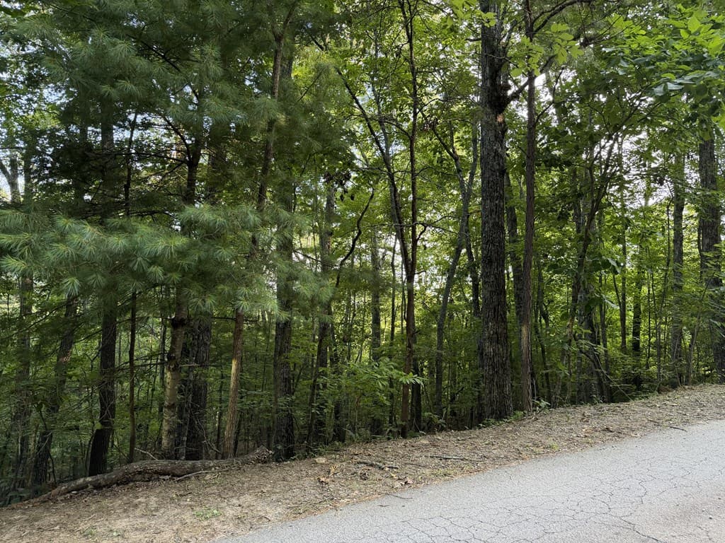 Lot 46 Fox Run Drive, Blue Ridge GA 30513 - Photo