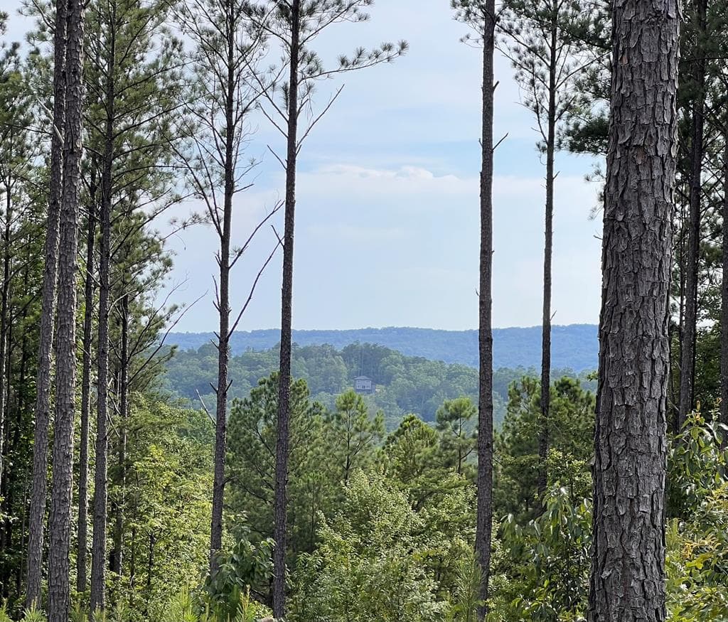 Lot 103 Blalock Mountain Road, Ellijay GA 30540 - Primary photo