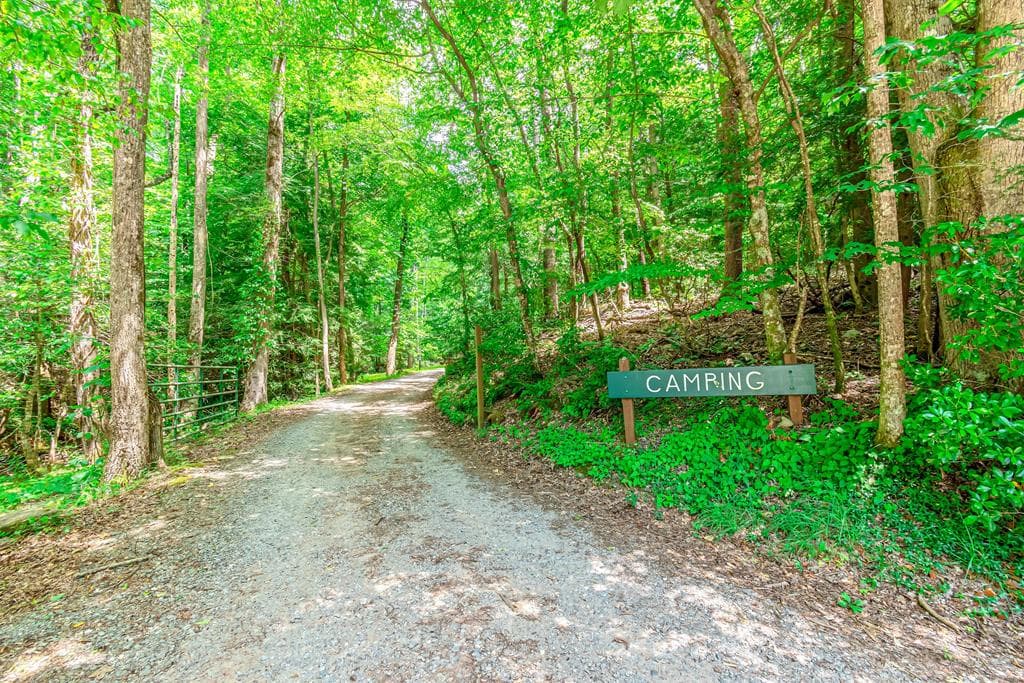 341 Valley View Road, Ellijay GA 30536 - Photo
