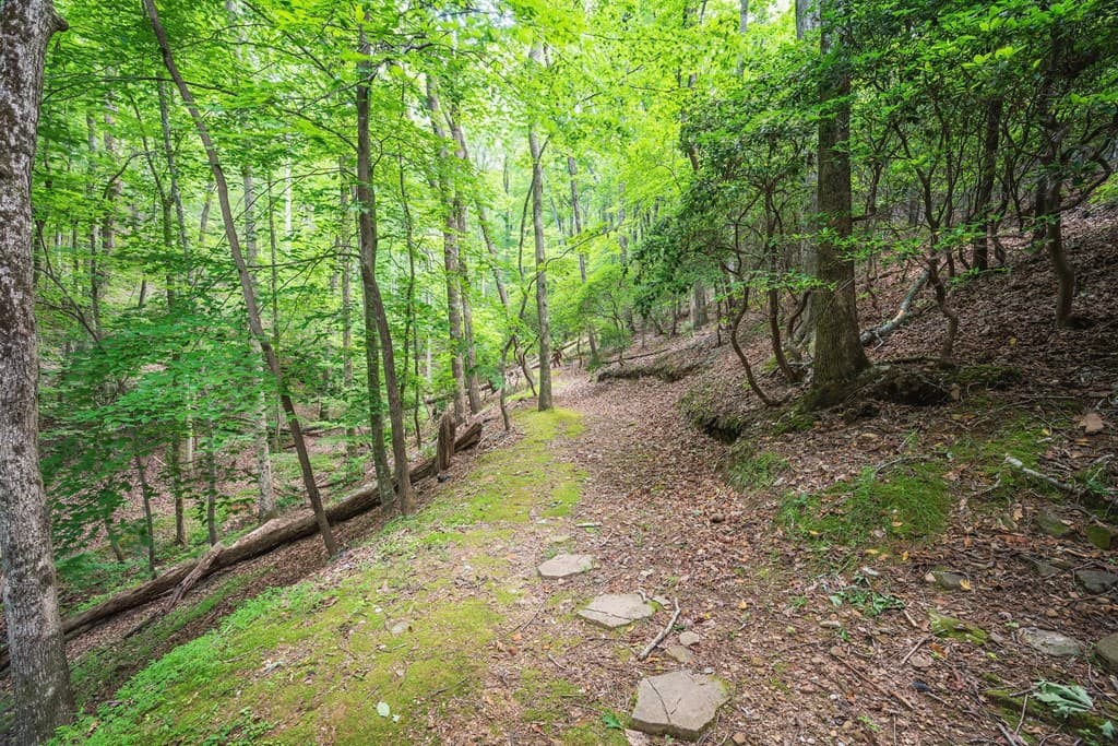341 Valley View Road, Ellijay GA 30536 - Photo