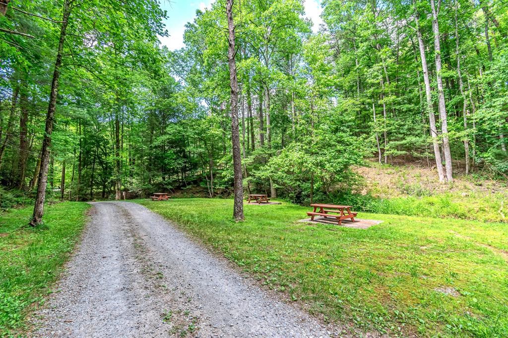 341 Valley View Road, Ellijay GA 30536 - Photo