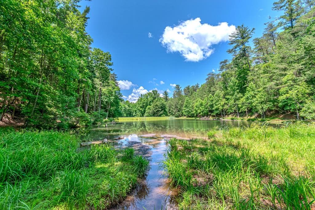 341 Valley View Road, Ellijay GA 30536 - Photo